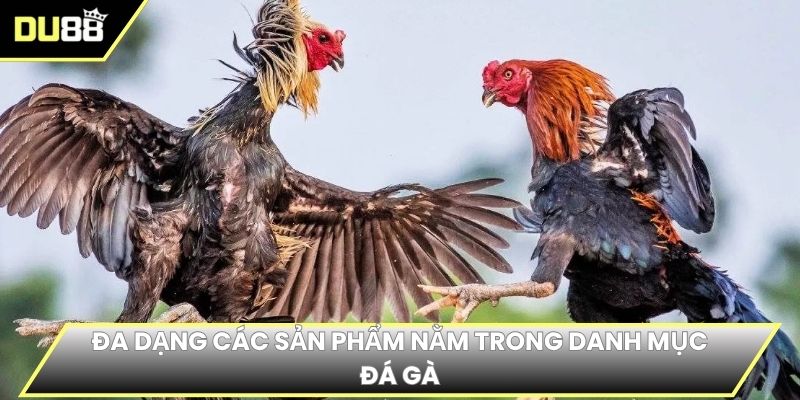 Đa dạng các sản phẩm nằm trong danh mục đá gà
