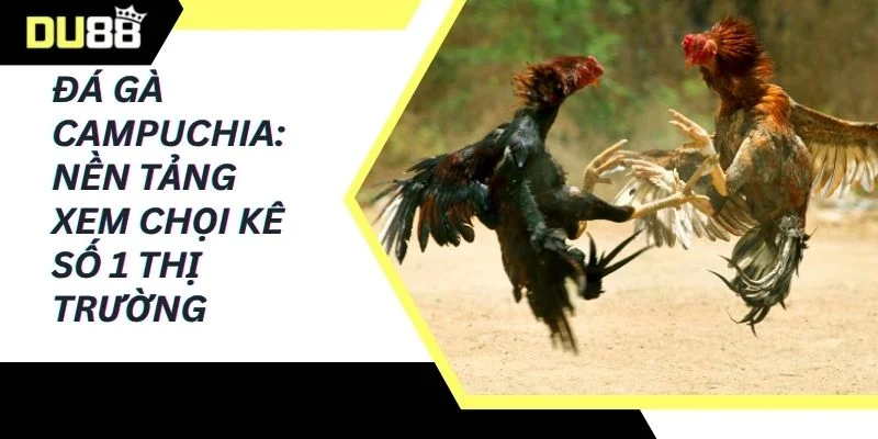 Đá gà campuchia
